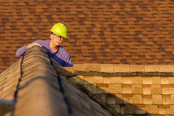 Best Roof Gutter Cleaning  in Petoskey, MI